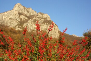 lecco