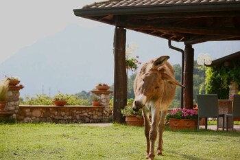 agriturismo deviscio