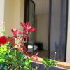 agriturismo deviscio