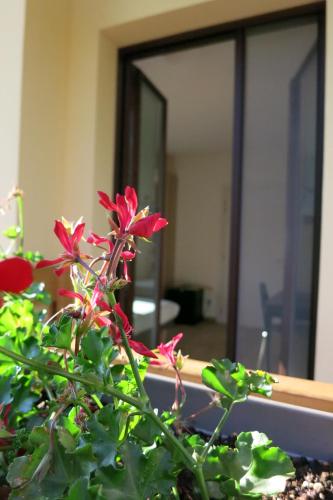 agriturismo deviscio