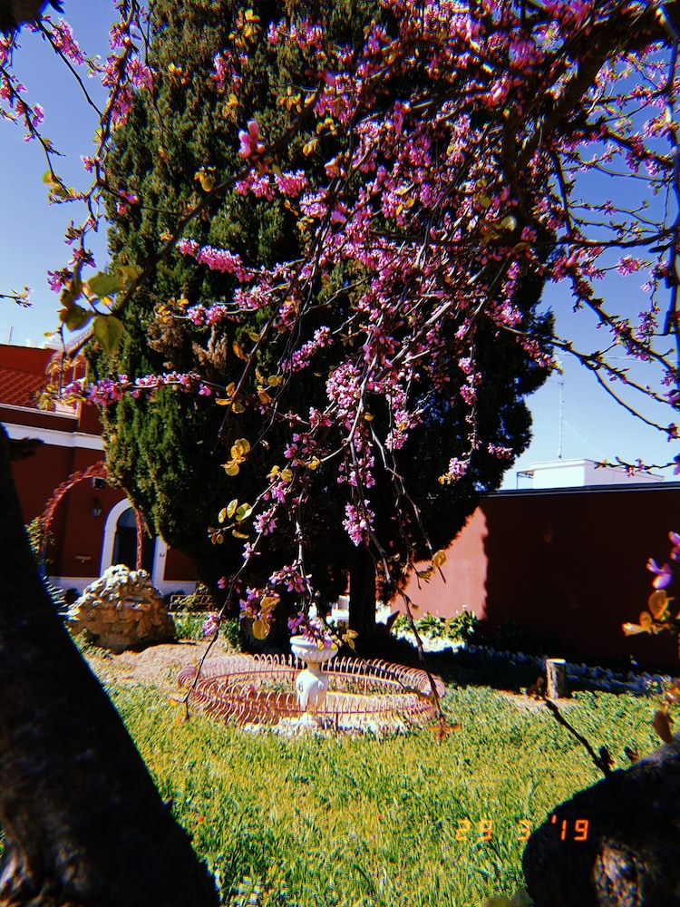 simpson affittacamere