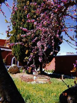 simpson affittacamere