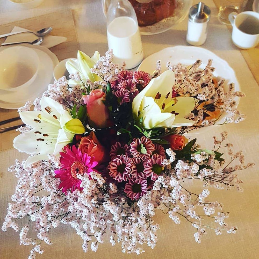 bandb la bella lucca