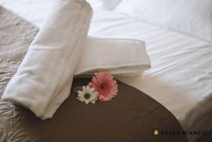 savignano sul panaro