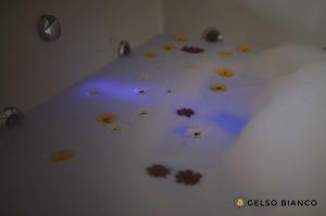 savignano sul panaro