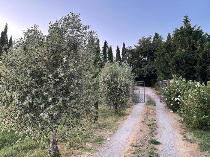 al giardino degli etruschi