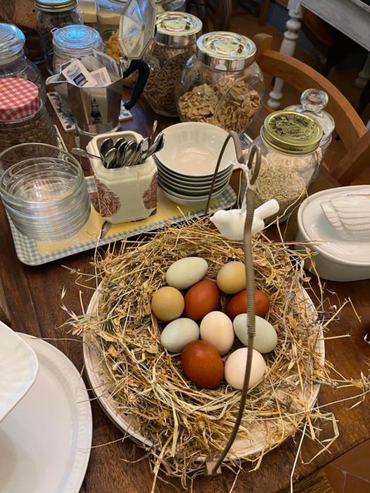 al giardino degli etruschi