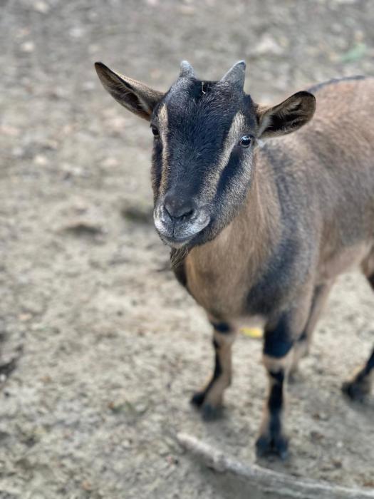 al giardino degli etruschi