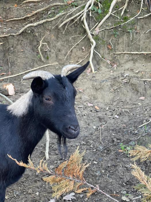 al giardino degli etruschi
