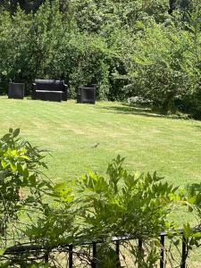 al giardino degli etruschi