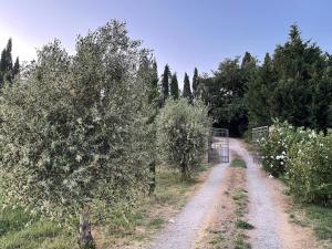 al giardino degli etruschi