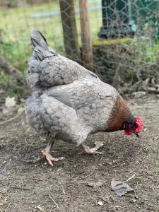 al giardino degli etruschi