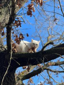 al giardino degli etruschi
