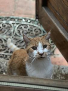 al giardino degli etruschi