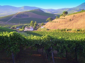 Agriturismo Tarantola,Camporeale>>Alcamo,3 star