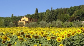 i casali del trebbiolo