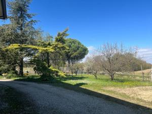 airport venice diego 2