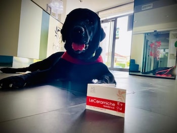 hotel residence le ceramiche