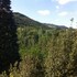 dovadola