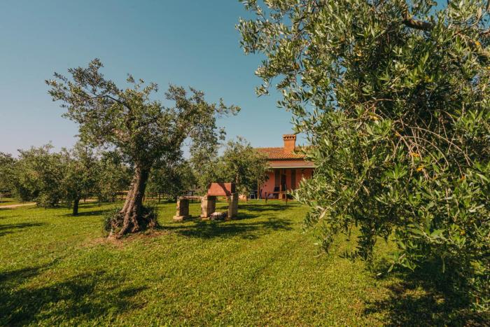 agriturismo il laghetto