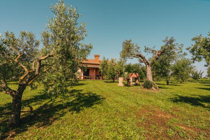 agriturismo il laghetto