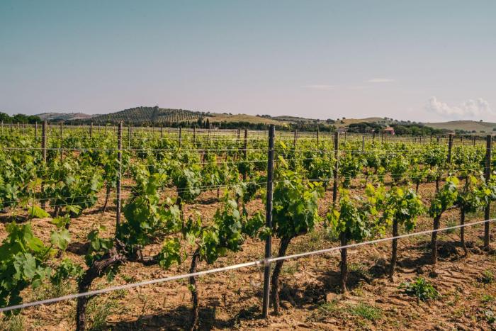 agriturismo il laghetto