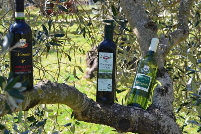 agriturismo il laghetto