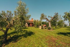 agriturismo il laghetto