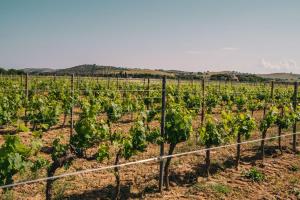 agriturismo il laghetto