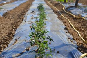 agriturismo il laghetto