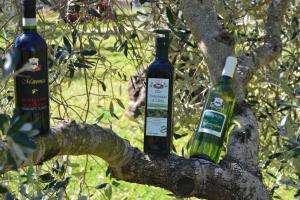 agriturismo il laghetto