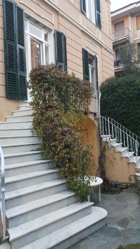 genoa