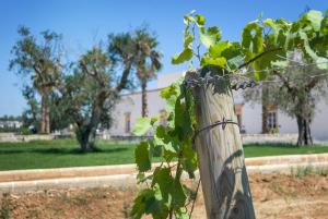 tenuta mose charming house relais