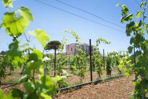 tenuta mose charming house relais