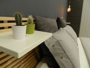 mola rooms