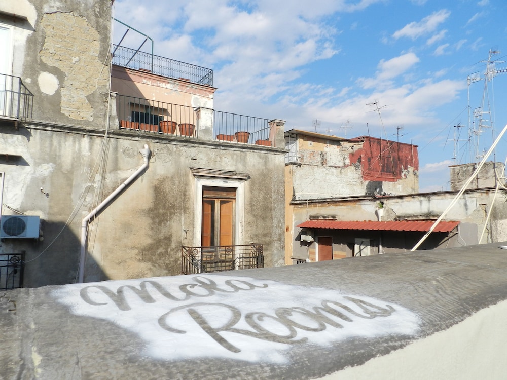 mola rooms