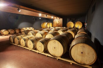 podere montale winery