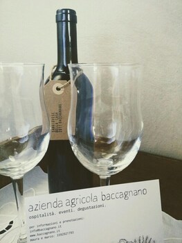 brisighella
