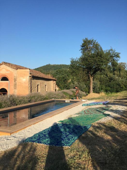 azienda agricola baccagnano