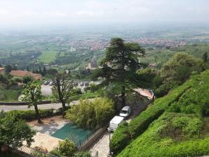 cortona