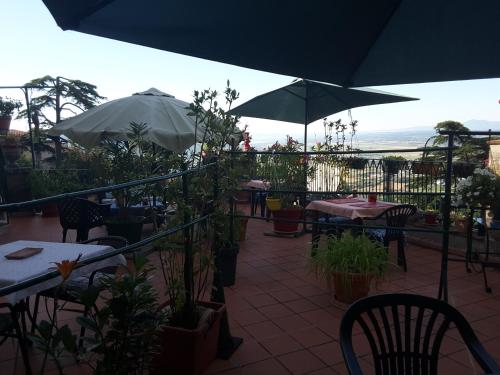 cortona