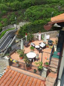 cortona