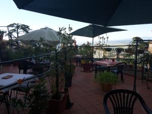 cortona