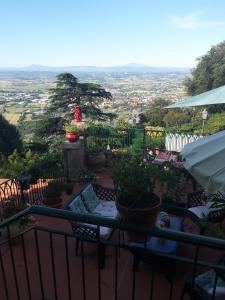 cortona