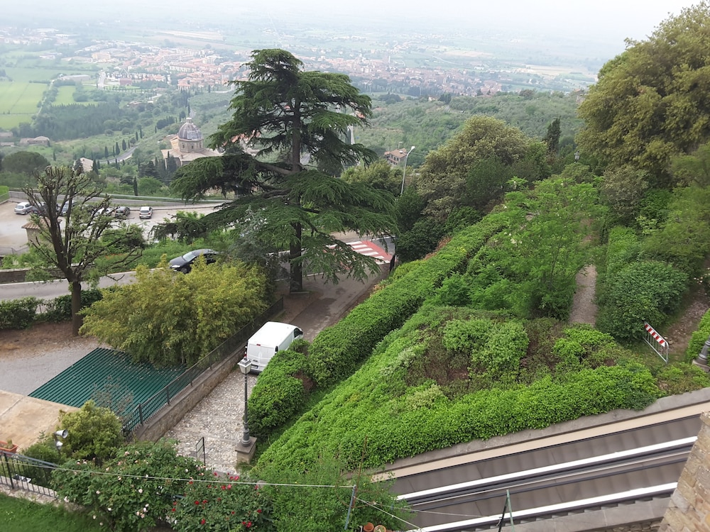 cortona