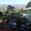 cortona
