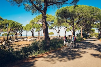 magliano in toscana