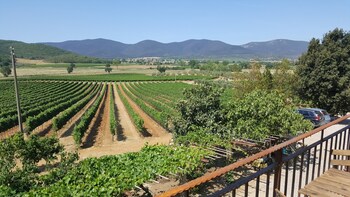 magliano in toscana