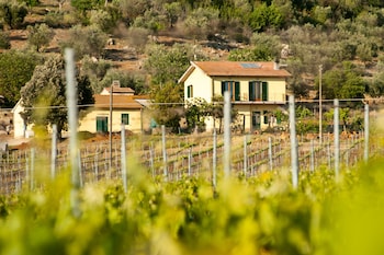 magliano in toscana