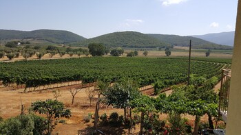 magliano in toscana